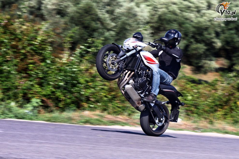 2010 Honda Hornet 600
